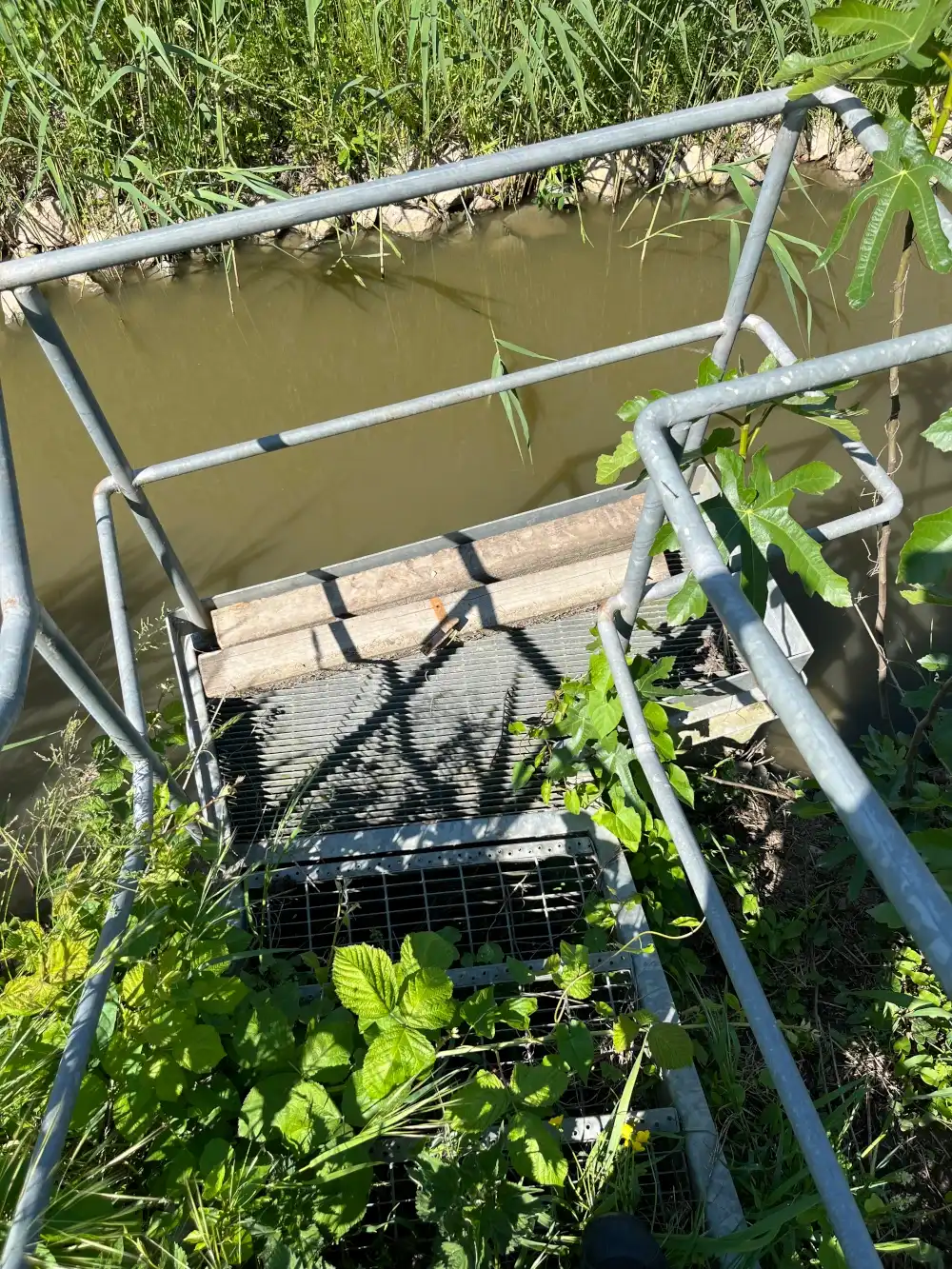 small agricultural canal in Polesine (Italy)